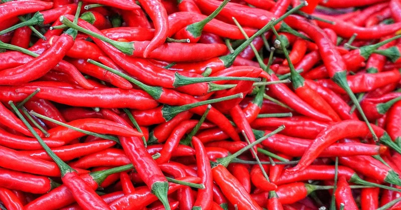 Batch cooking : la méthode qui change tout
