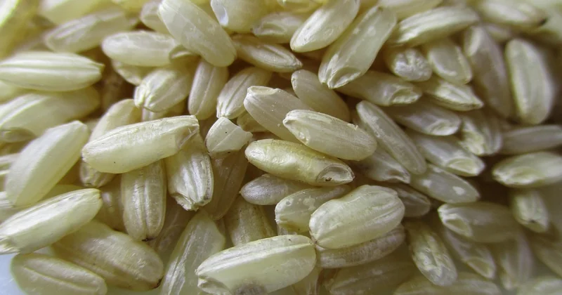 Les erreurs qui transforment un risotto en boue